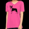 Missy's Relaxed Jersey Short-Sleeve V-Neck T-Shirt Thumbnail
